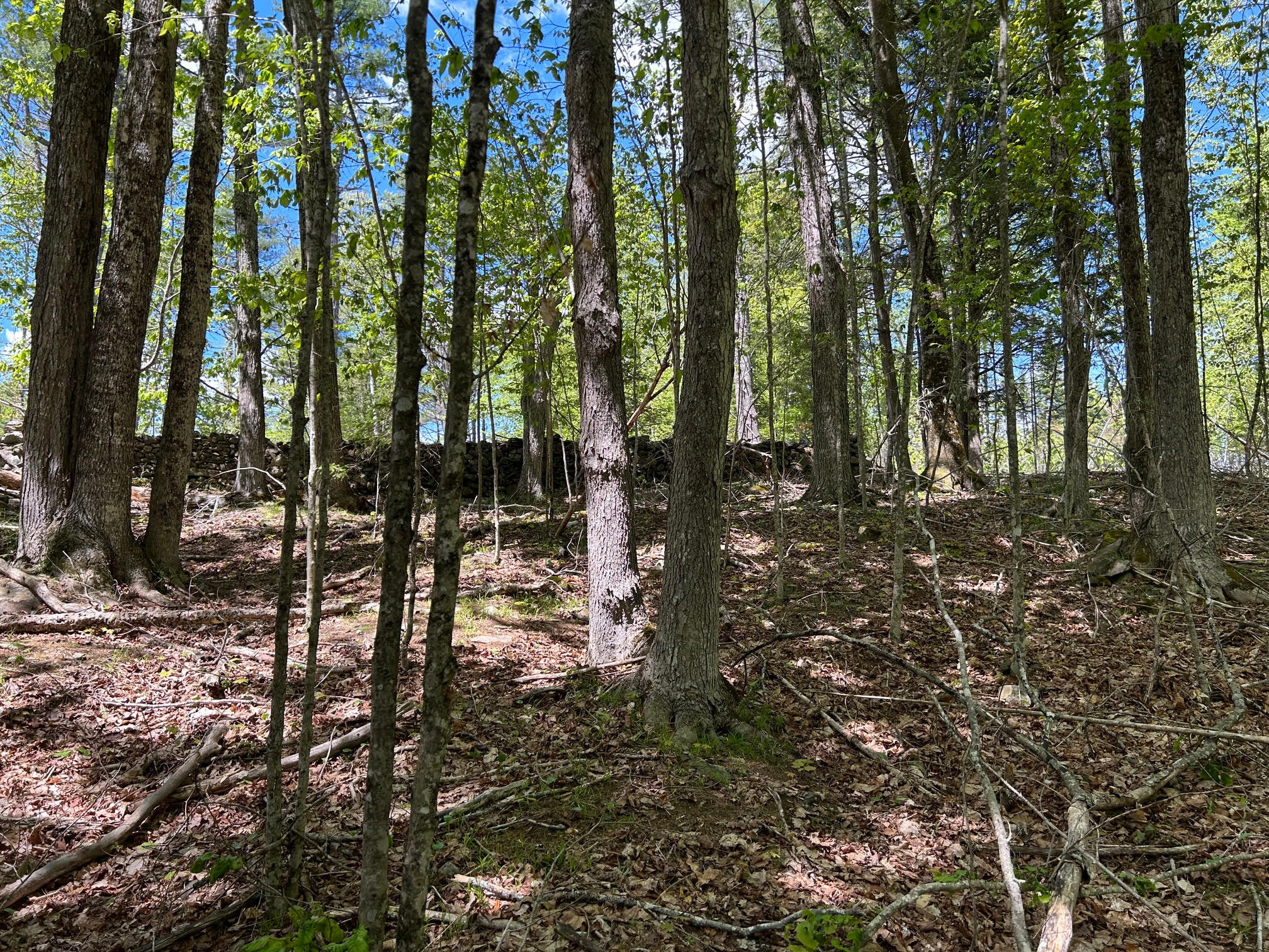 1 West Waldo Road Belfast, ME 04915 - Photo 7 of 13 12