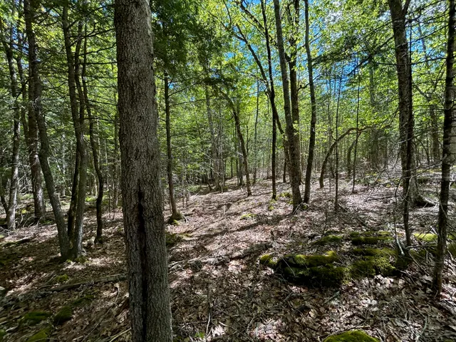 $99,000 | 1 West Waldo Road, Belfast, ME 04915