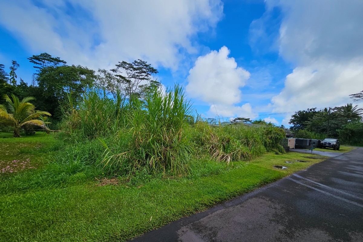 7 Hee Street Pahoa, HI 96778 - Photo 3 of 5 a backyard of a house with lots of green space