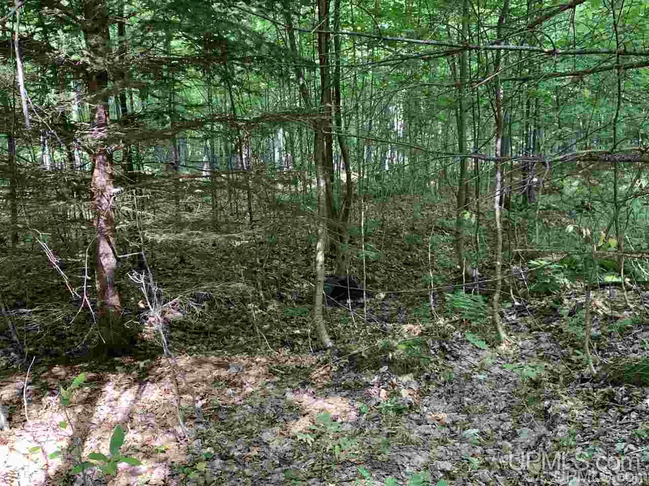 88-89 Blue Road Pelkie, MI 49958 - Photo 12 of 15
