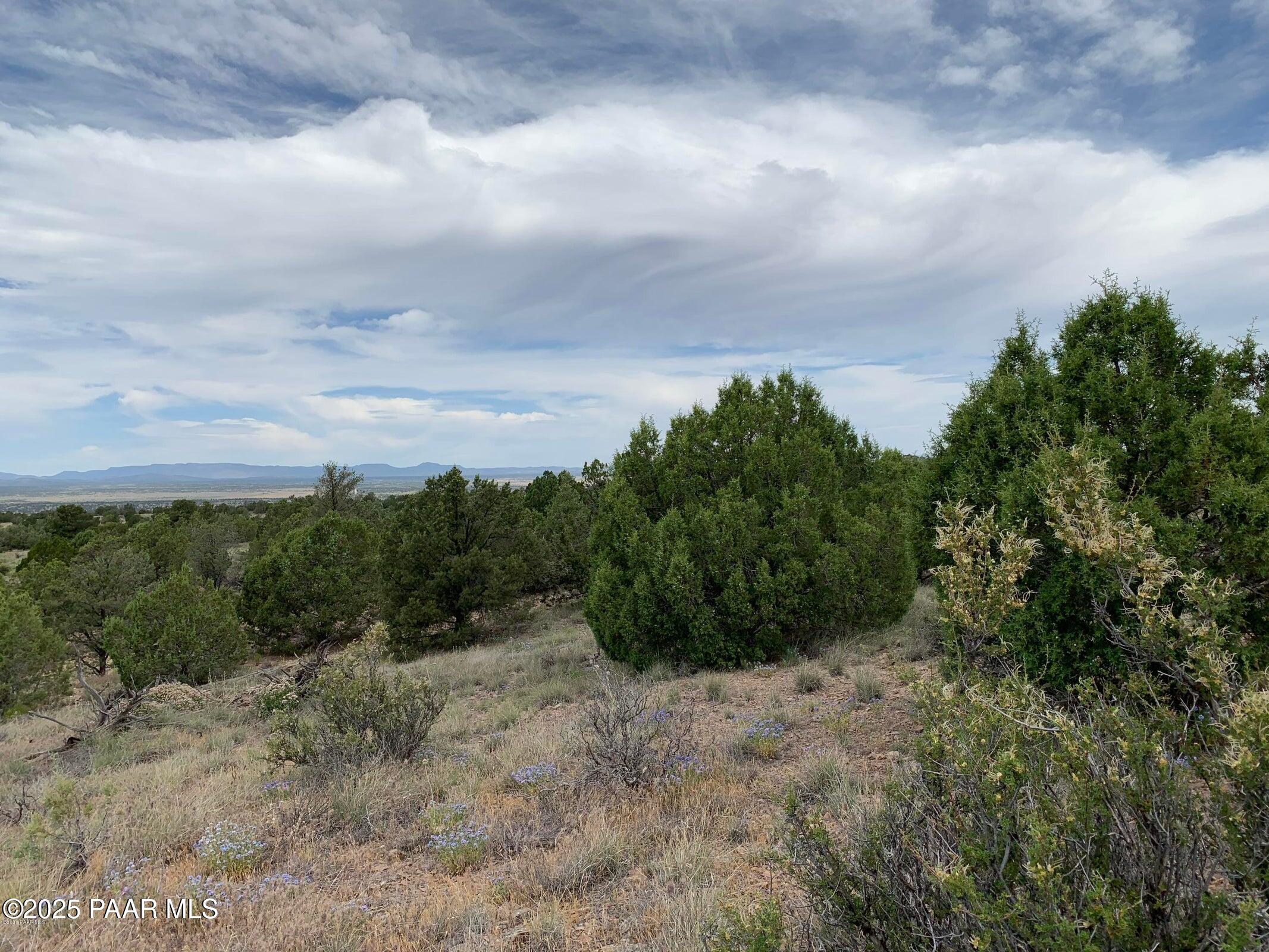 18391 Crossroads Ranch Road Prescott, AZ 86305 - Photo 11 of 41 Views 2