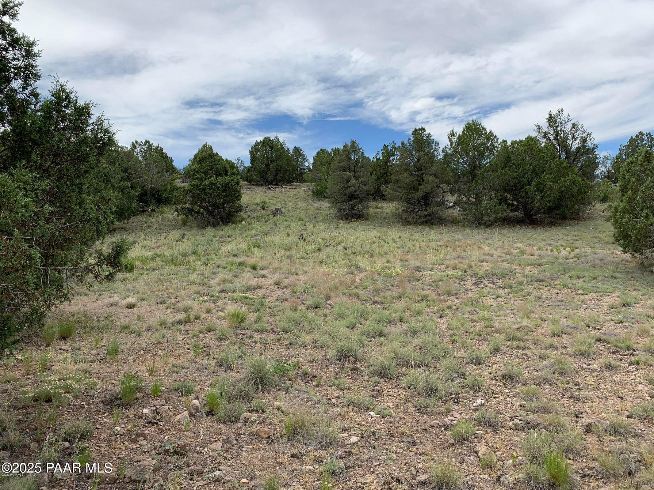 18391 Crossroads Ranch Road Prescott, AZ 86305 - Photo 8 of 41 Lot pic 2
