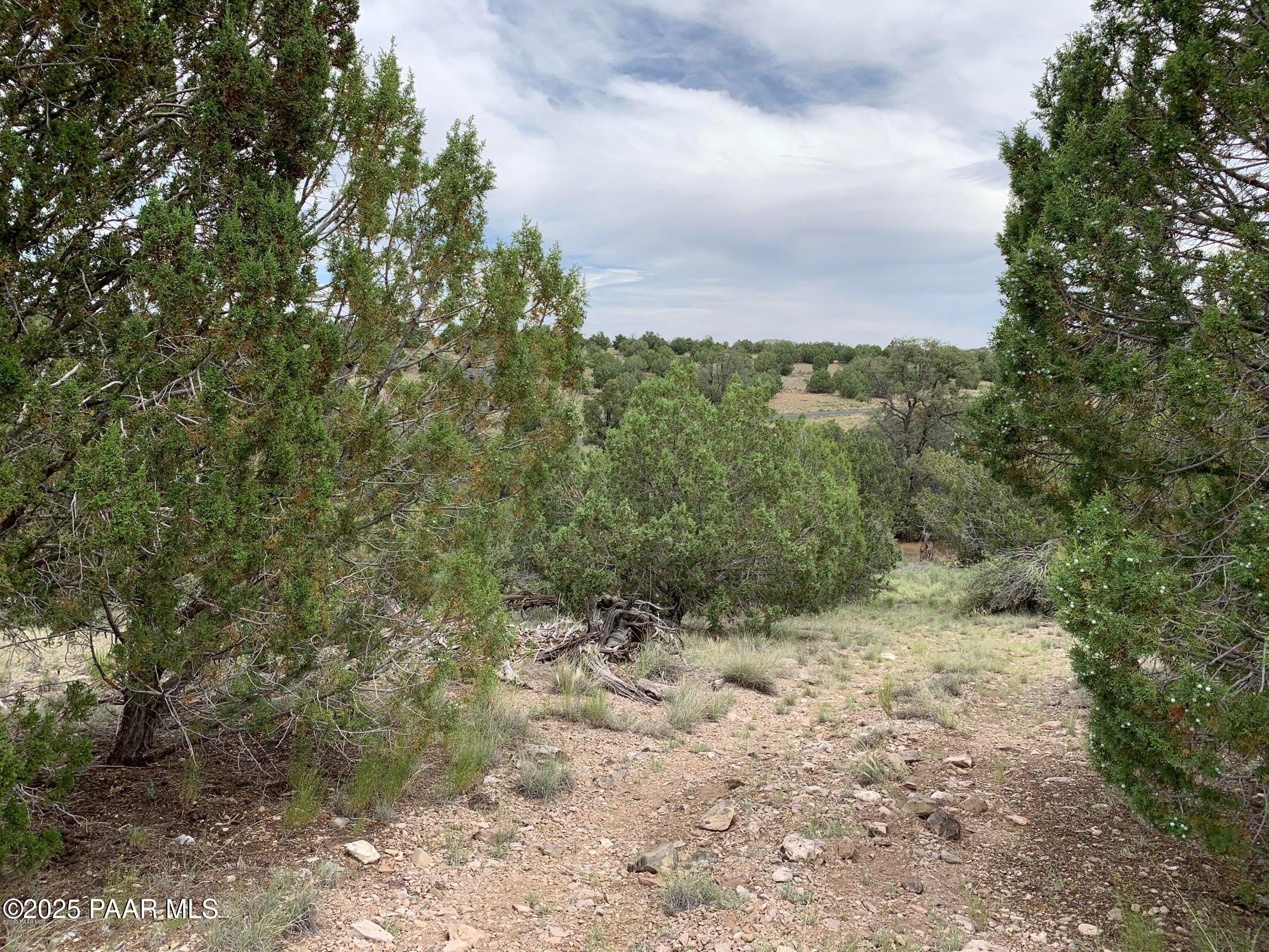 18391 Crossroads Ranch Road Prescott, AZ 86305 - Photo 9 of 41 Lot pic 1