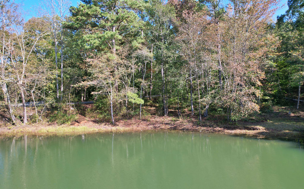 429 Hattons Ford Road Townville, SC 29689 - Photo 31 of 43 Gallery Image 31
