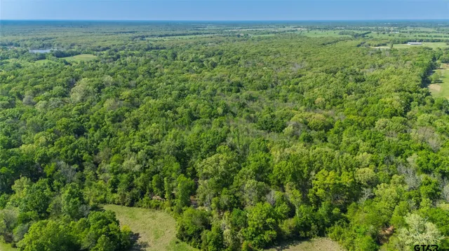 a view of a green field with lots of bushes