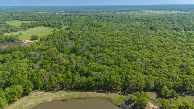 a view of a big yard with lots of green space