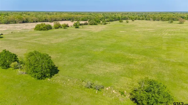 a view of an ocean from a yard