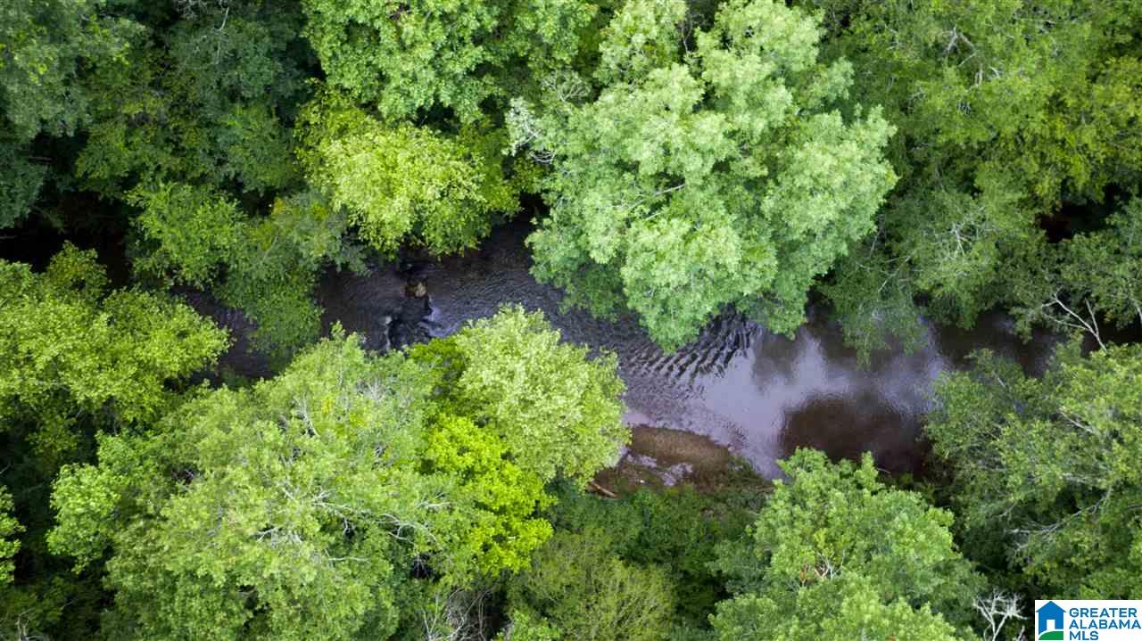 180 Gibson Road, Unit 76 / ACRES OFF GIBSON R Columbiana, AL 35051 - Photo 30 of 50