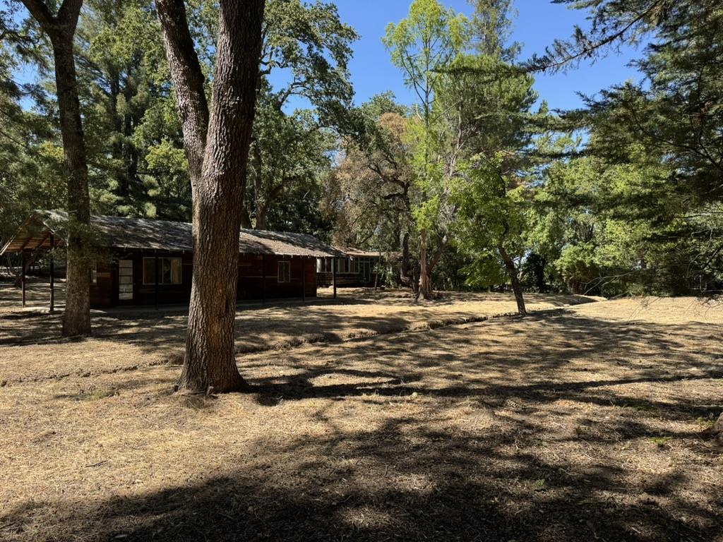 245 Bonita Road Portola Valley, CA 94028 - Photo 6 of 12