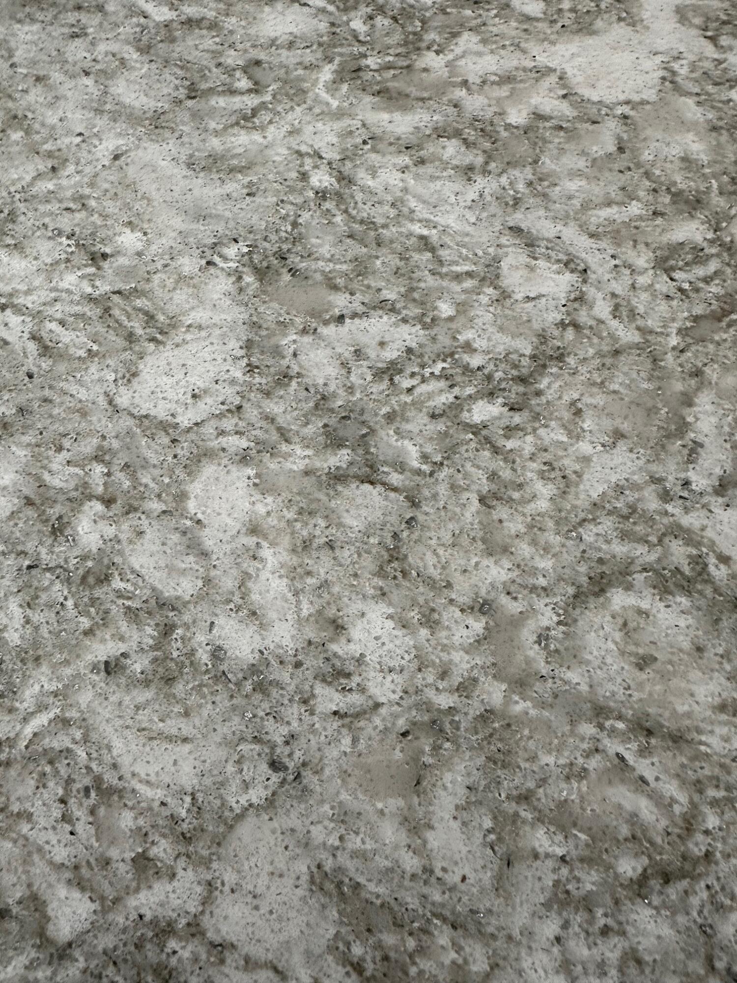 1483 Buttonwood Loop Chattanooga, TN 37421 - Photo 22 of 81 quartz counters in kitchen and primary b