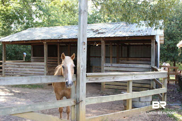 16353 Durban Fork Road Bay Minette, AL 36507 - Photo 14 of 29 Bring Your Horses