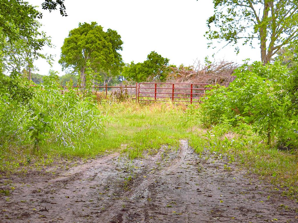 3280 Ws Rail Road Franklin, TX 77856 - Photo 9 of 10