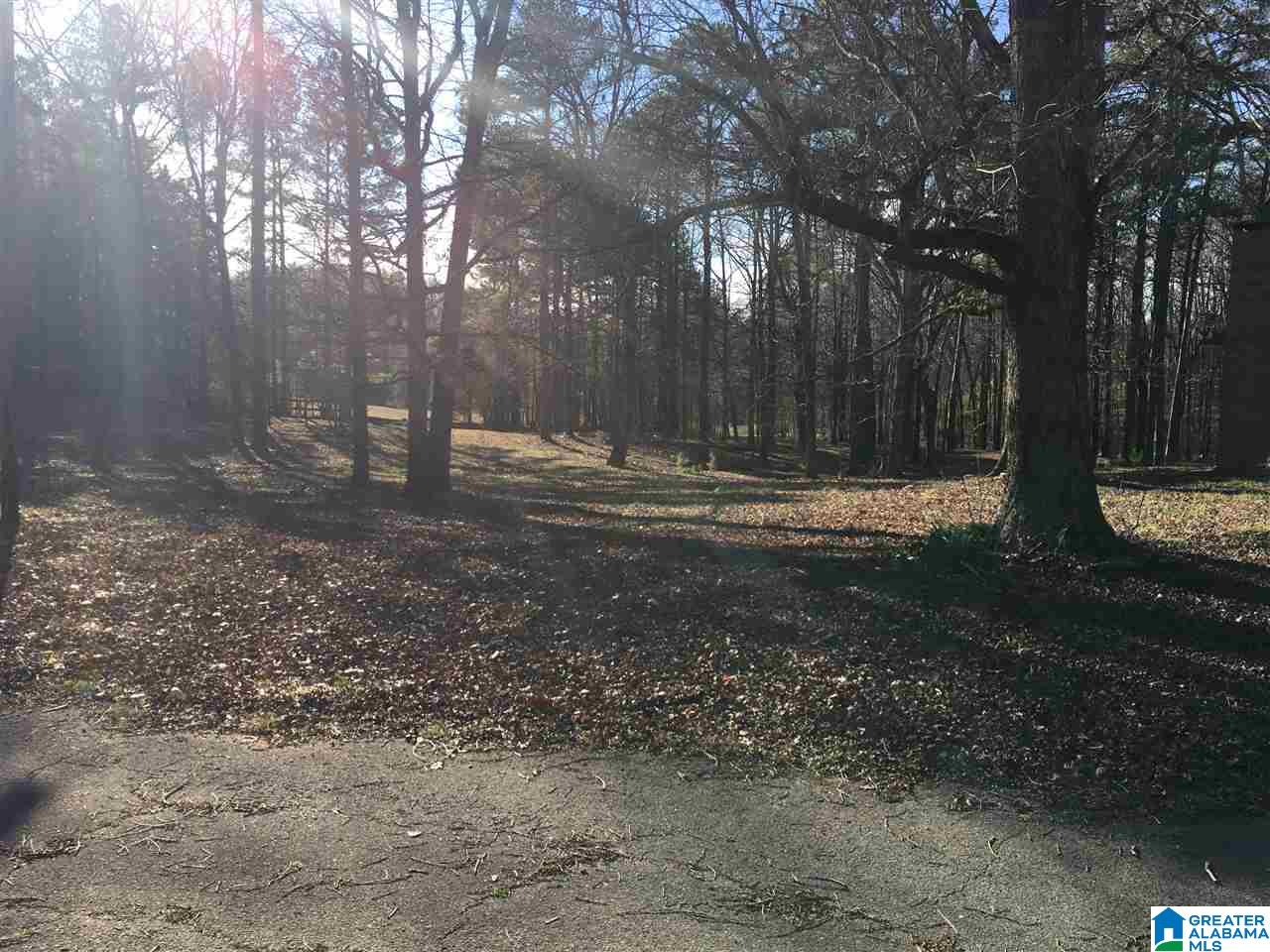 7465 Rodgers Road Southwest Leeds, AL 35094 - Photo 11 of 25