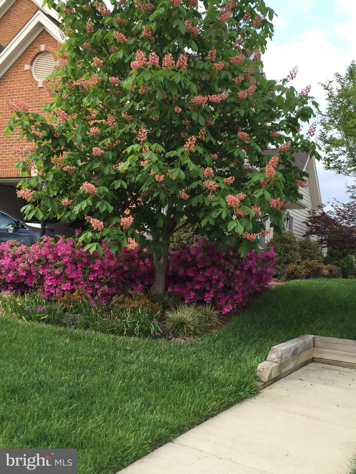 22902 North Brown Square Ashburn, VA 20148 - Photo 63 of 70