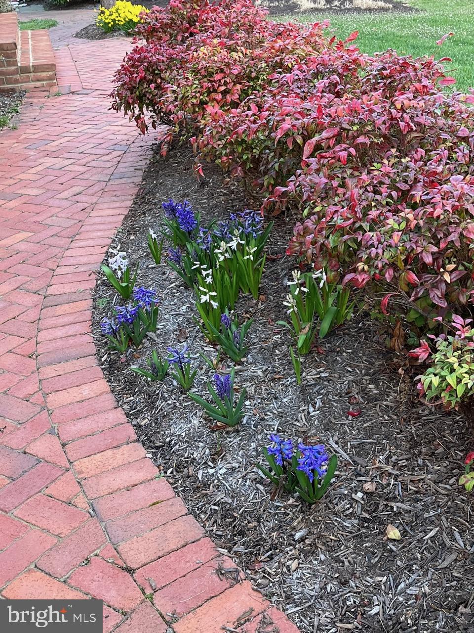 22902 North Brown Square Ashburn, VA 20148 - Photo 64 of 70 a view of a pathway with a flower in a garden