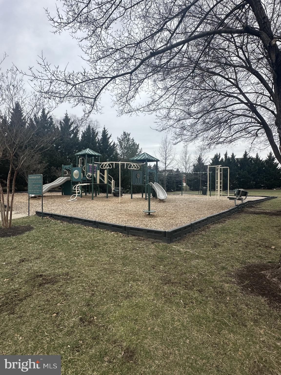 22902 North Brown Square Ashburn, VA 20148 - Photo 70 of 70 a view of a park with large trees