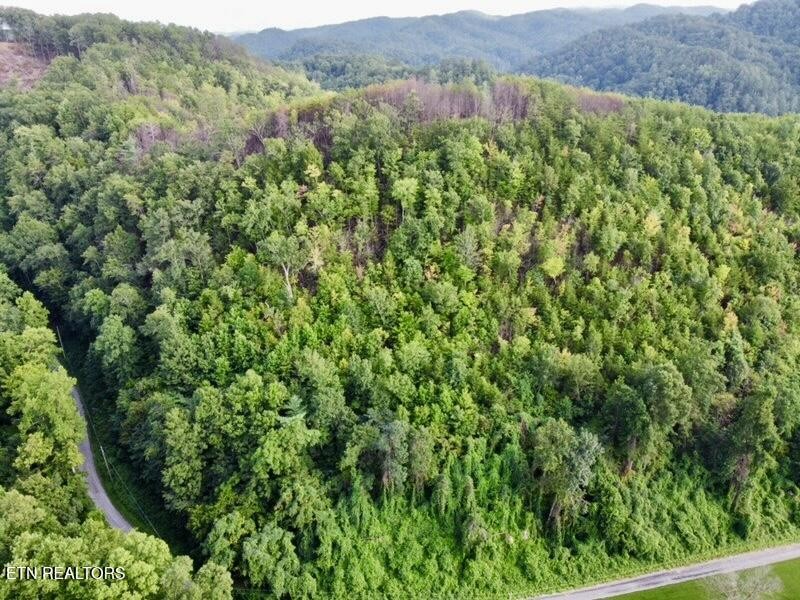 0 Lake Heights Road Tellico Plains, TN 37385 - Photo 1 of 11 Gallery Image 1