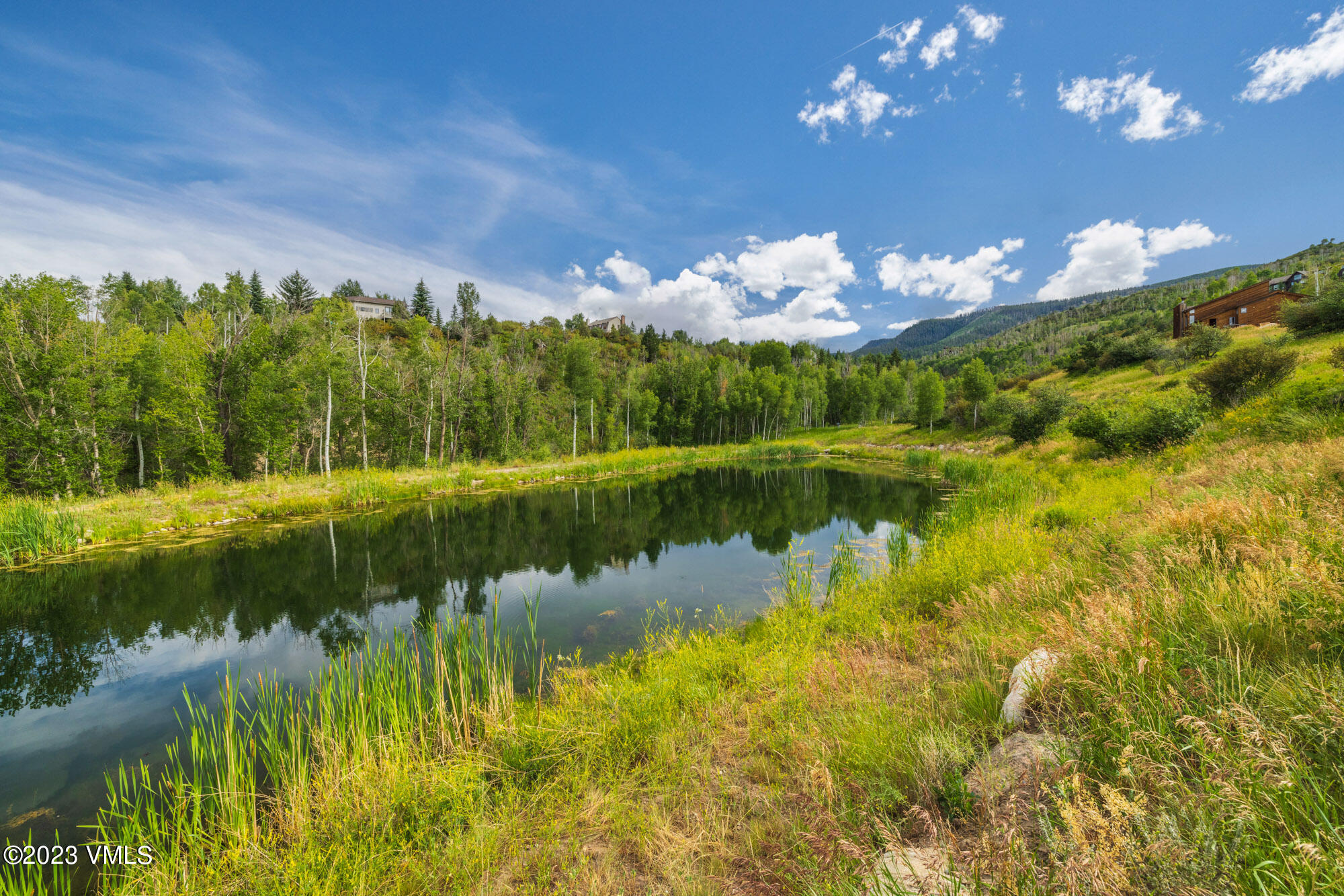 284 Polar Star Road Edwards, CO 81632 - Photo 2 of 26 052A7800