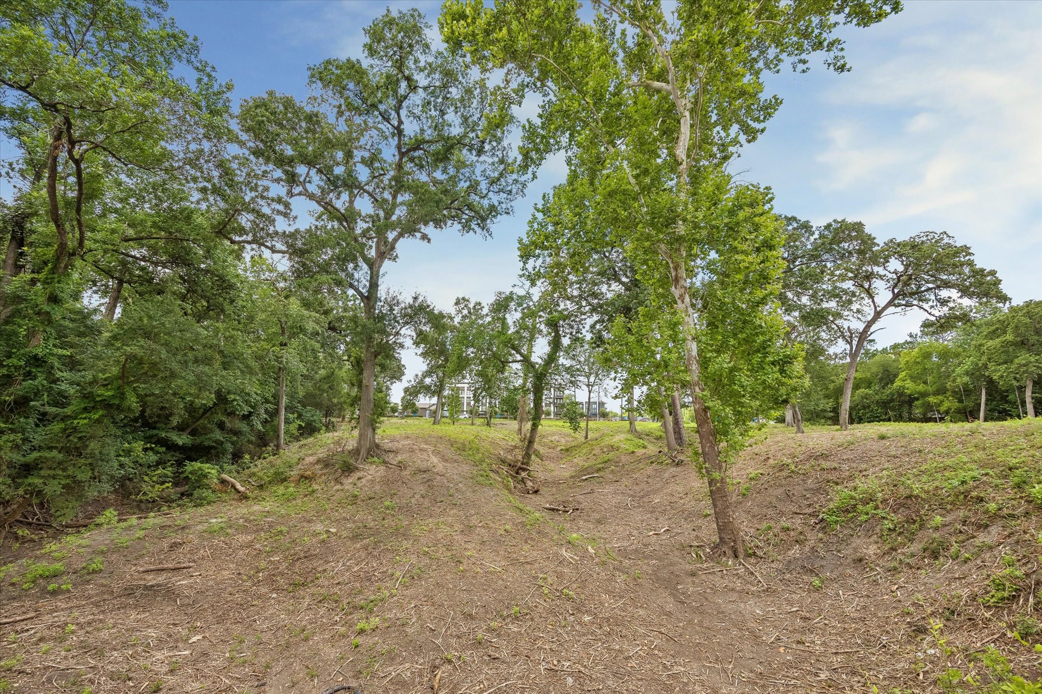 0 Deerwood Road Houston, TX 77042 - Photo 8 of 9