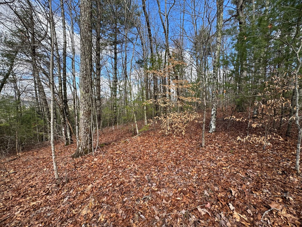 22-24 Rye Field Road Murphy, NC 28906 - Photo 24 of 26
