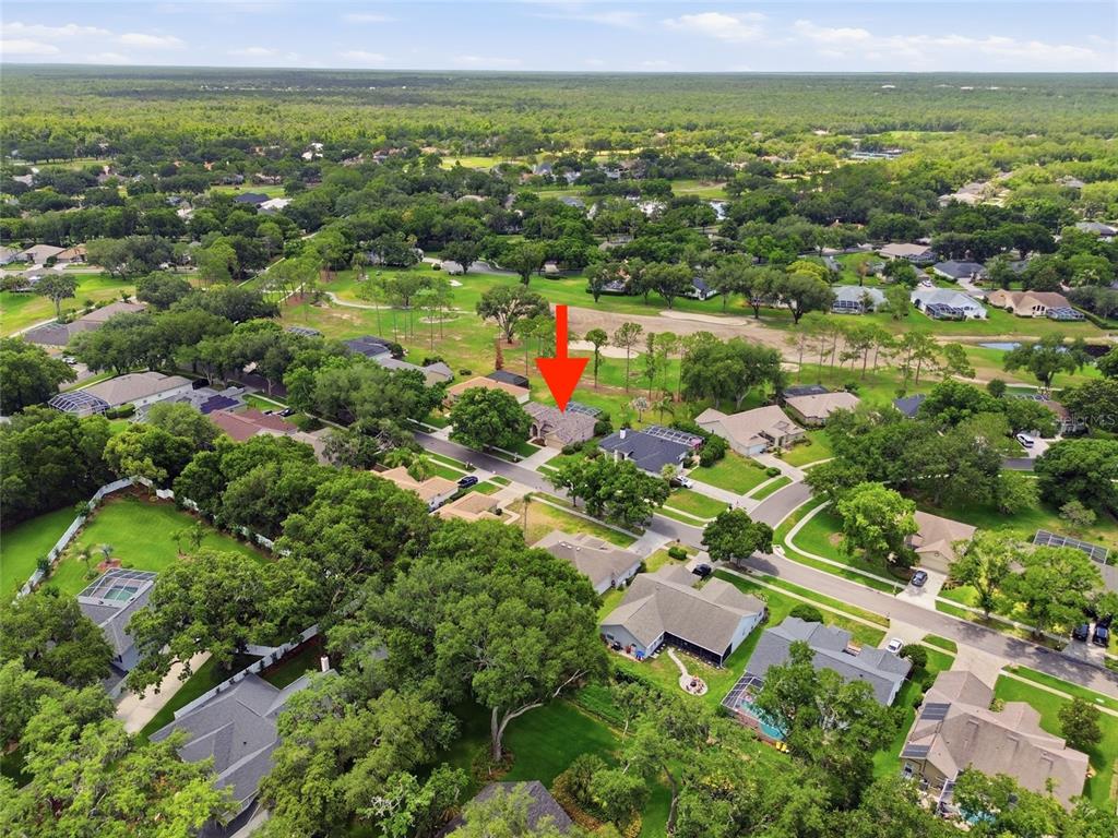 4941 Willow Ridge Terrace Valrico, FL 33596 - Photo 41 of 50