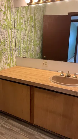 a close up of a sink with a potted plant