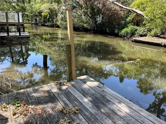 a view of water with a large trees