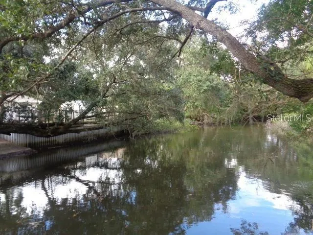 a close up of a flower in a garden