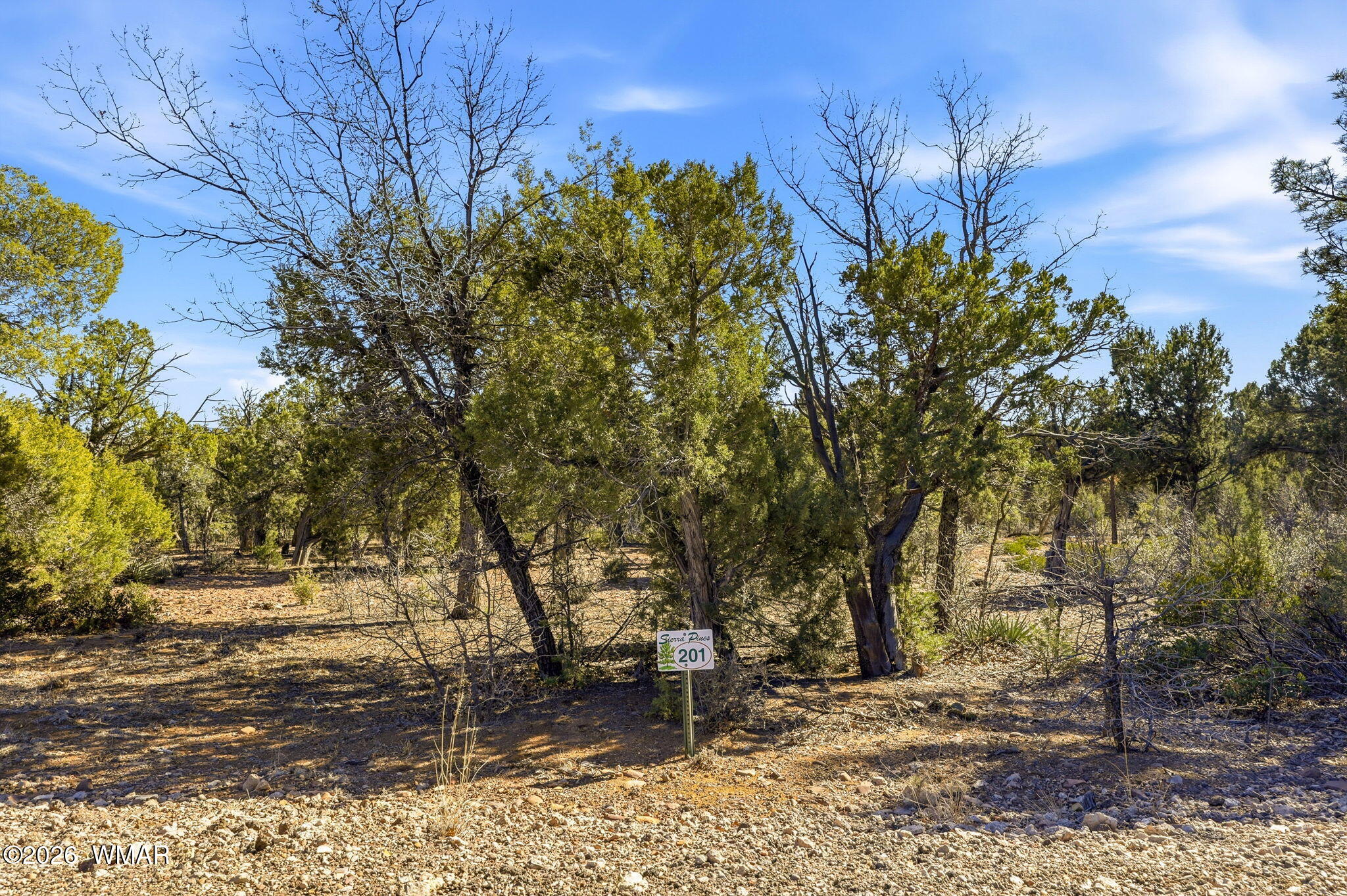 1821 South Ridge Crest Drive Show Low, AZ 85901 - Photo 2 of 13 1821SRidgeCrestDr-ShowLow-AZ-2