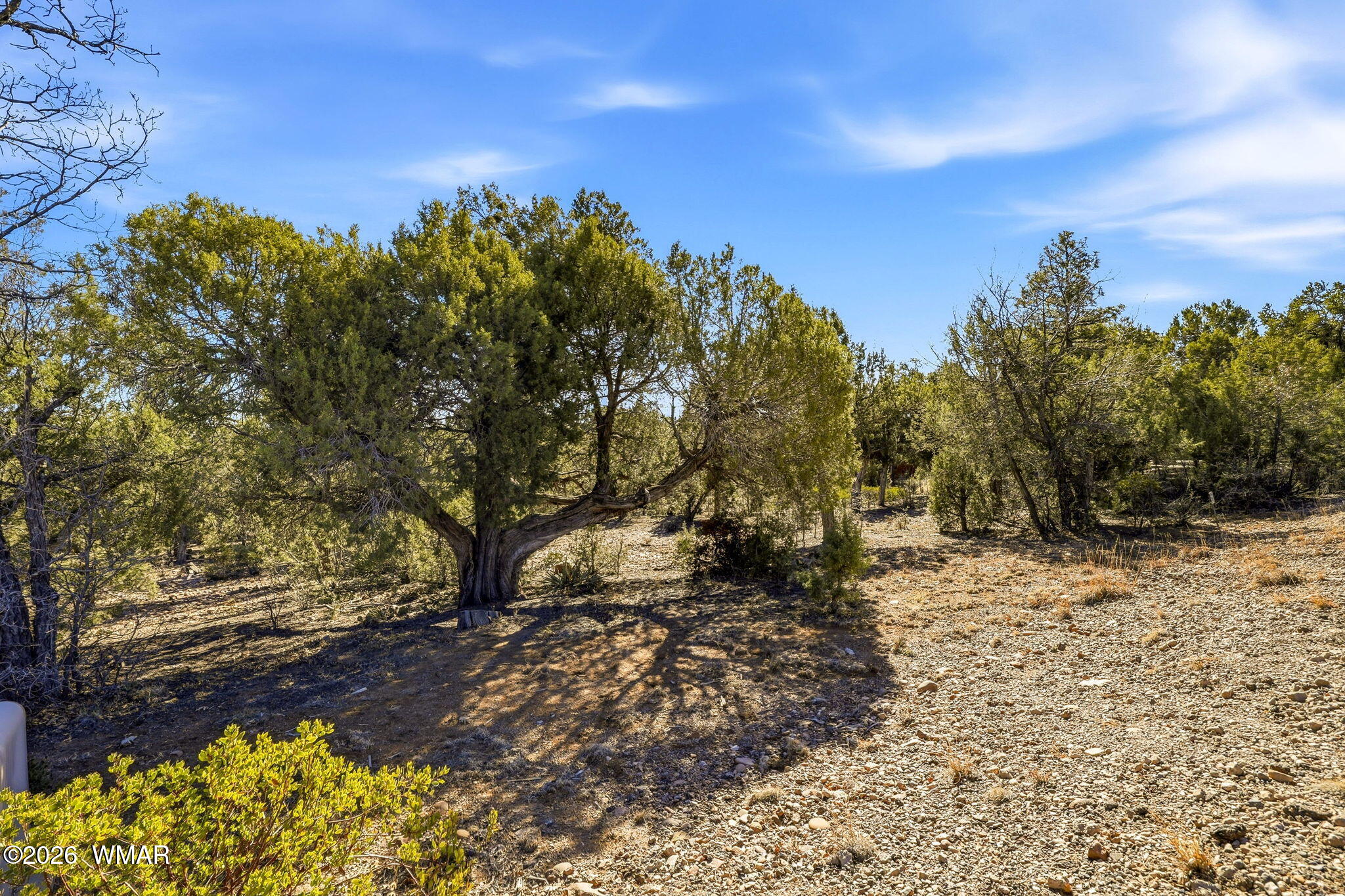 1821 South Ridge Crest Drive Show Low, AZ 85901 - Photo 4 of 13 1821SRidgeCrestDr-ShowLow-AZ-1