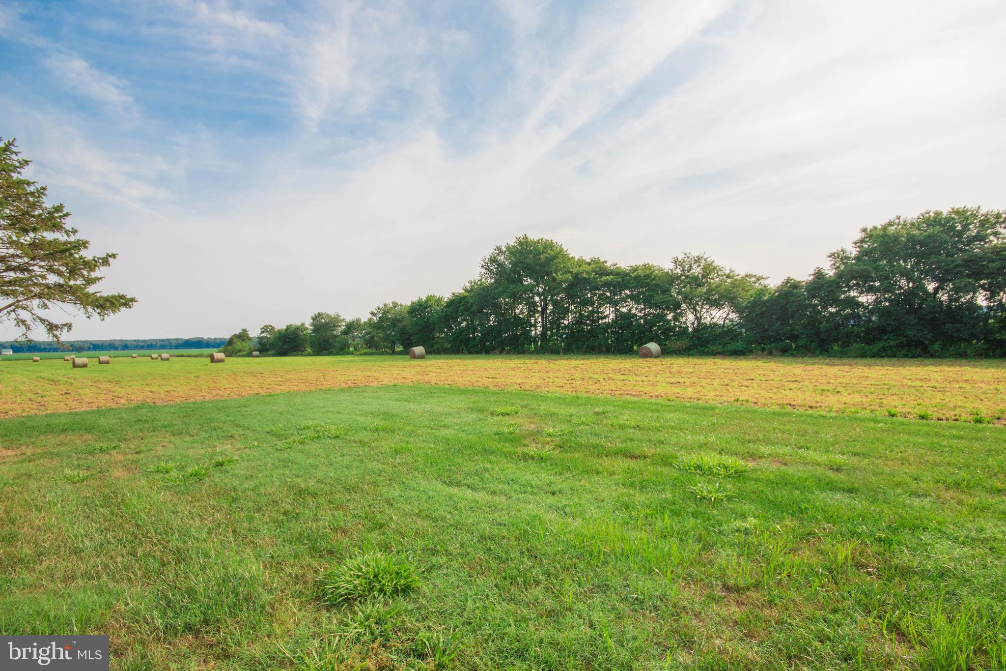 5713 Lone Pine Road Rhodesdale, MD 21659 - Photo 77 of 78