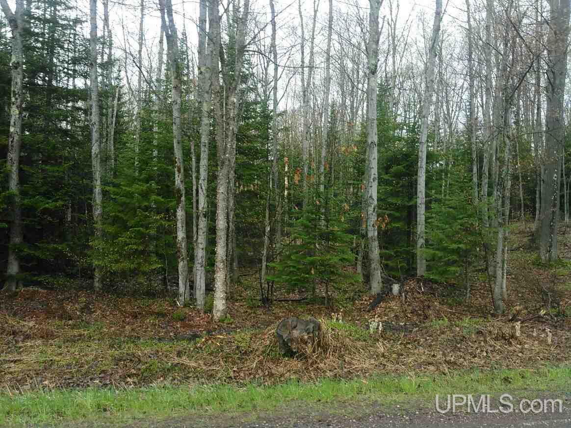 Tbd Rauhala Road, Unit LOT 4 COLES CREEK SUBDIV Atlantic Mine, MI 49931 - Photo 1 of 13