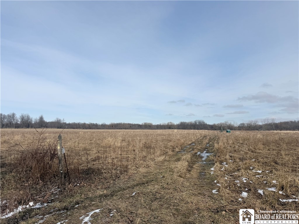 North Road East Pomfret, NY 14063 - Photo 1 of 7