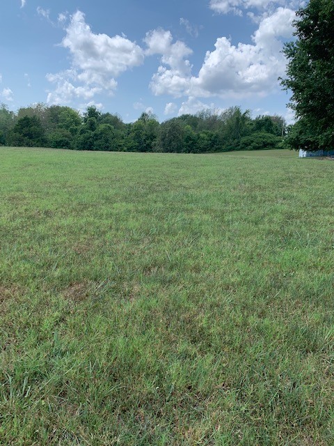0 New Deal Potts Road Portland, TN 37148 - Photo 1 of 1 a view of an outdoor space and a yard