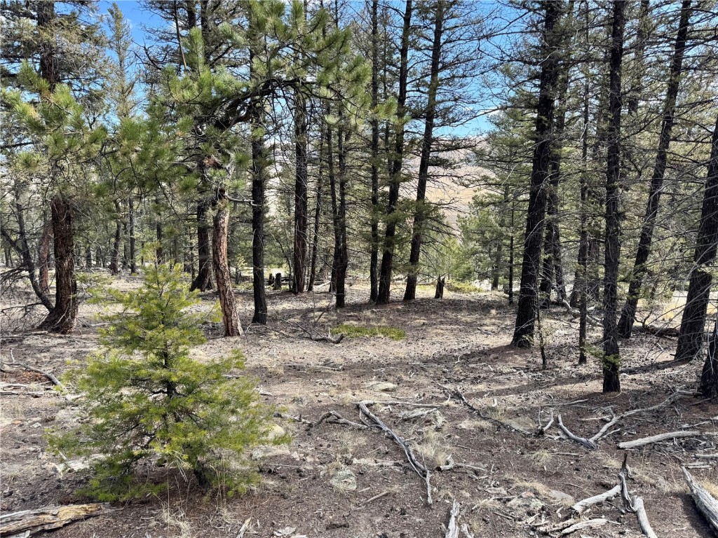 2601 Redhill Road Fairplay, CO 80440 - Photo 22 of 43 a view of road with trees