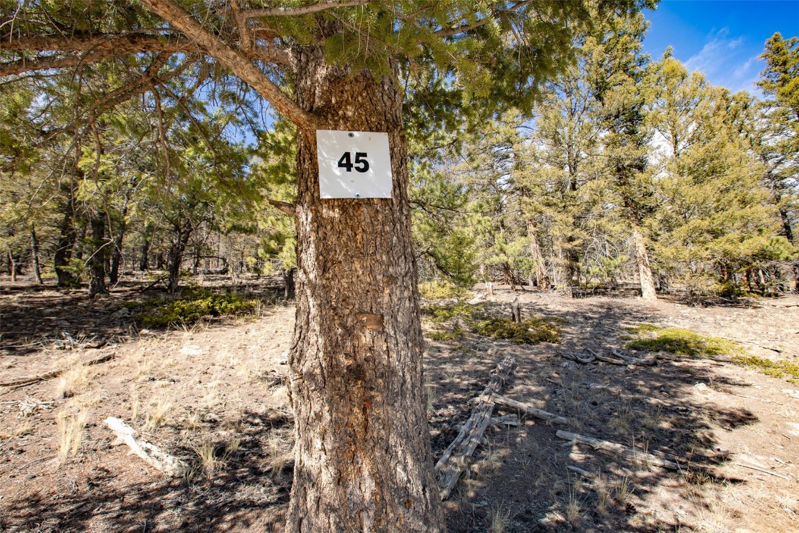 2601 Redhill Road Fairplay, CO 80440 - Photo 40 of 43 a sign that is on the side of a road