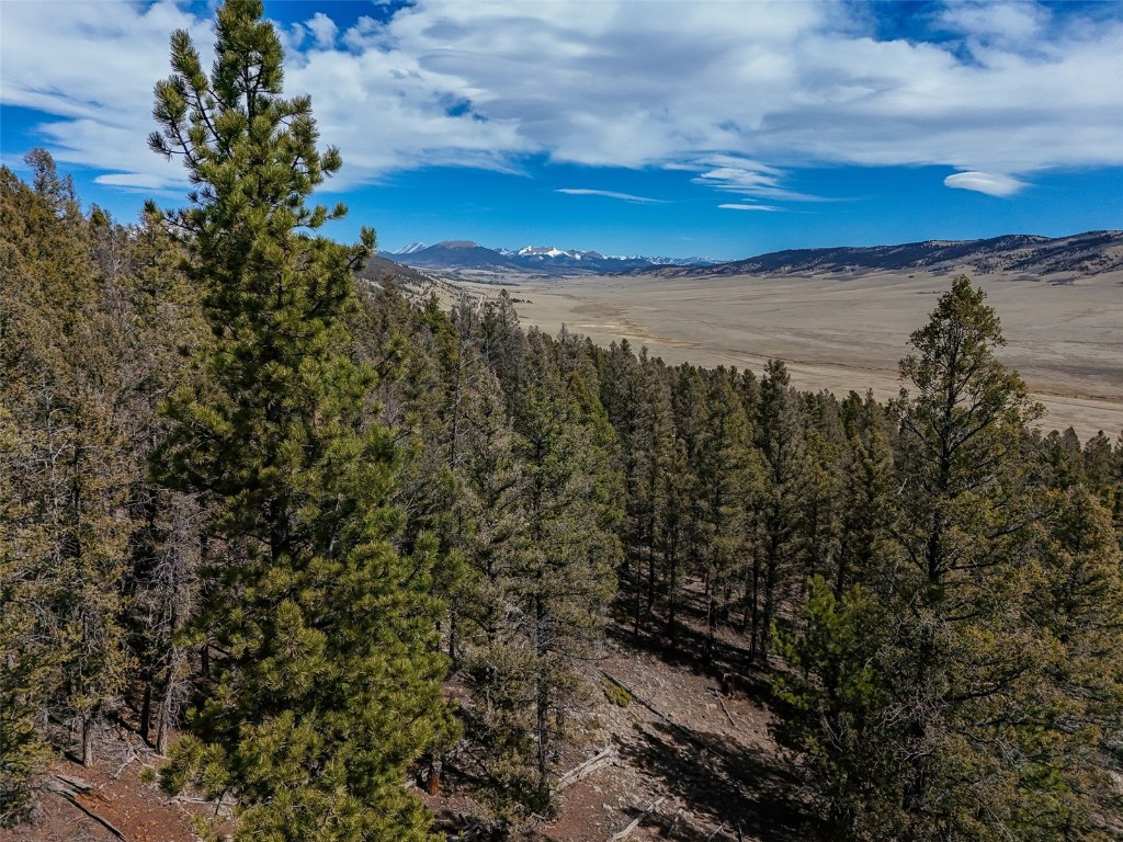 2601 Redhill Road Fairplay, CO 80440 - Photo 43 of 43 a view of mountain with lake view
