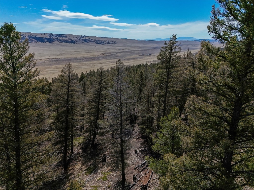 2601 Redhill Road Fairplay, CO 80440 - Photo 5 of 43 a view of a lake and mountain