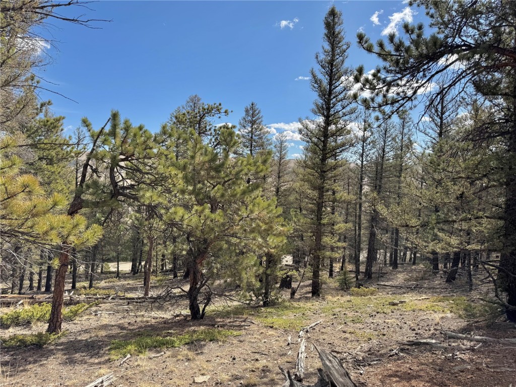 2601 Redhill Road Fairplay, CO 80440 - Photo 8 of 43 a view of outdoor space with trees