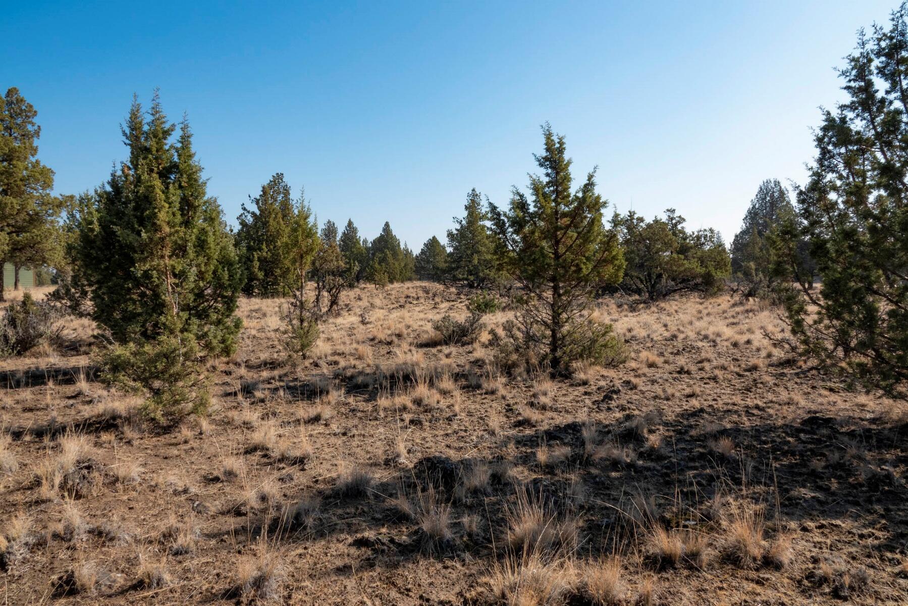Lot 13 Rim Park Culver, OR 97734 - Photo 11 of 19 batch_12