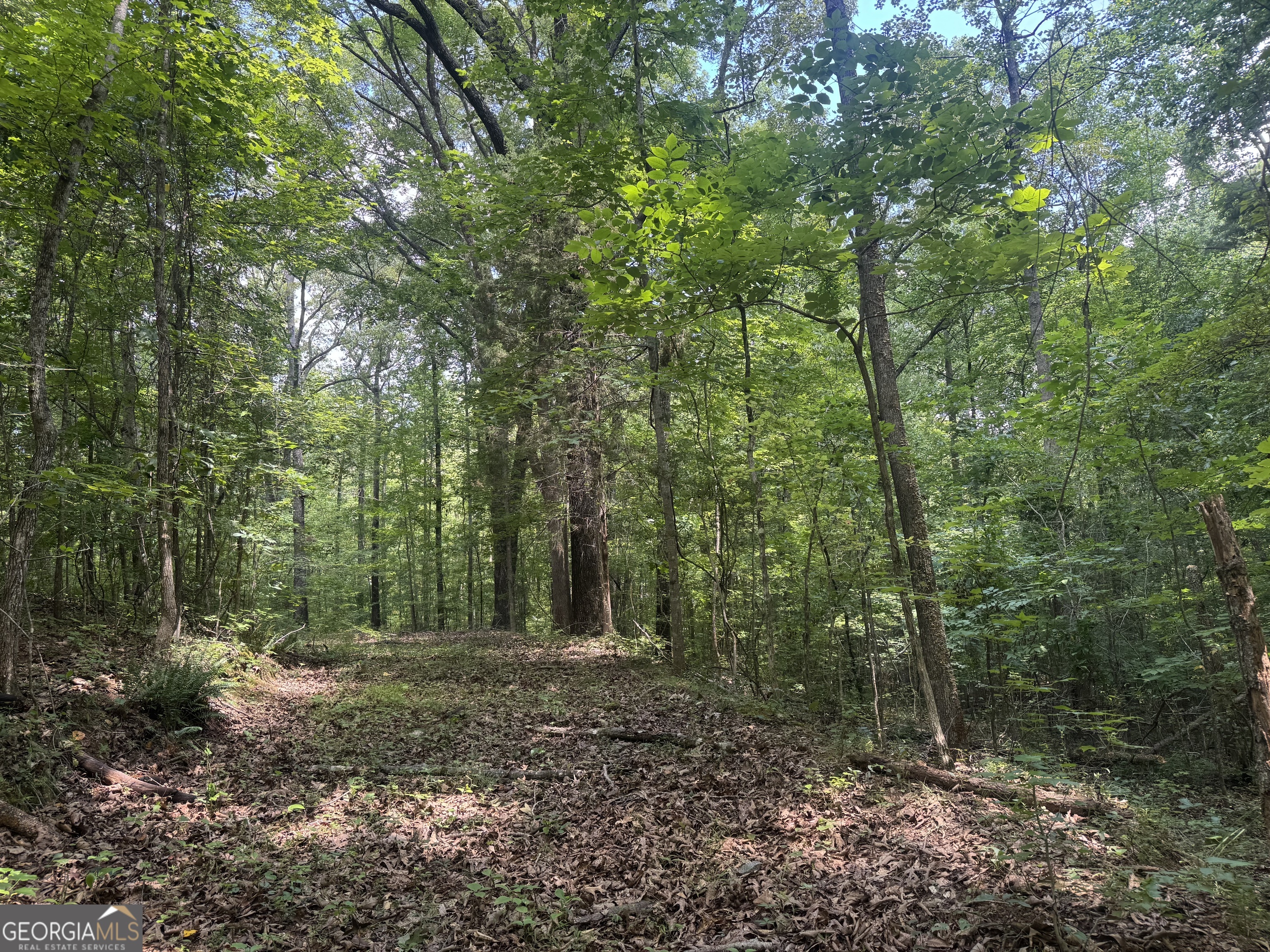 0 Hickey Road Franklin, GA 30217 - Photo 1 of 1