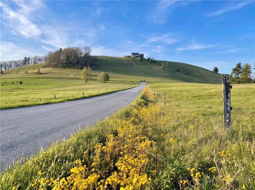 Lot 27 Hartley Knob Road Boone, NC 28607 - Photo 14 of 15