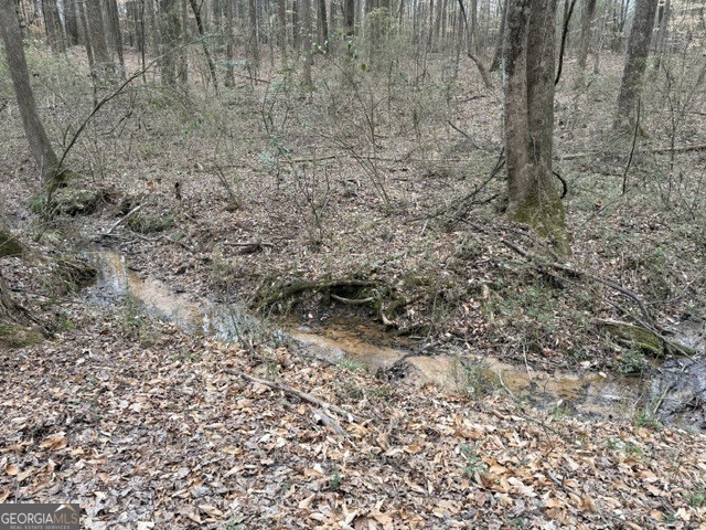 0 Tarpkins Road Commerce, GA 30530 - Photo 2 of 9