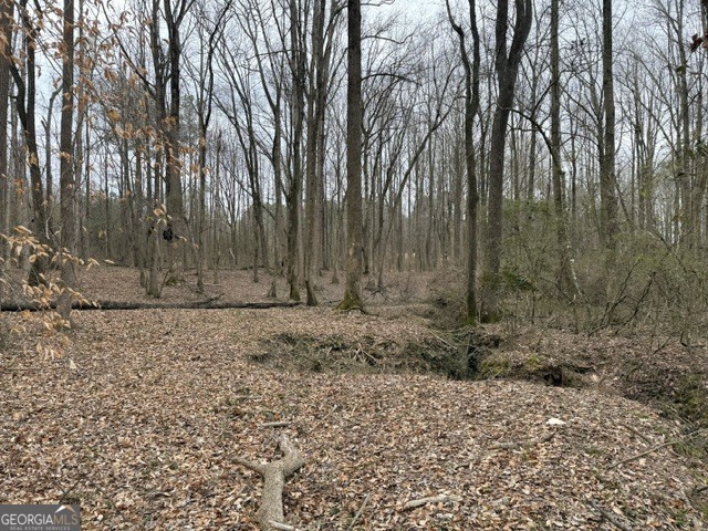 0 Tarpkins Road Commerce, GA 30530 - Photo 3 of 9