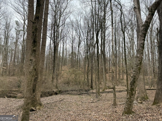 0 Tarpkins Road Commerce, GA 30530 - Photo 4 of 9