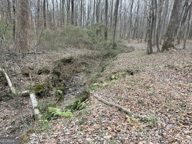 0 Tarpkins Road Commerce, GA 30530 - Photo 5 of 9