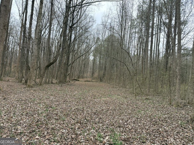 0 Tarpkins Road Commerce, GA 30530 - Photo 6 of 9