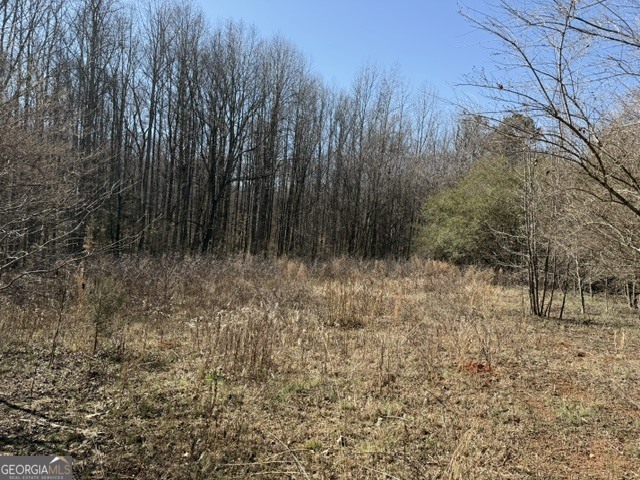 0 Tarpkins Road Commerce, GA 30530 - Photo 7 of 9