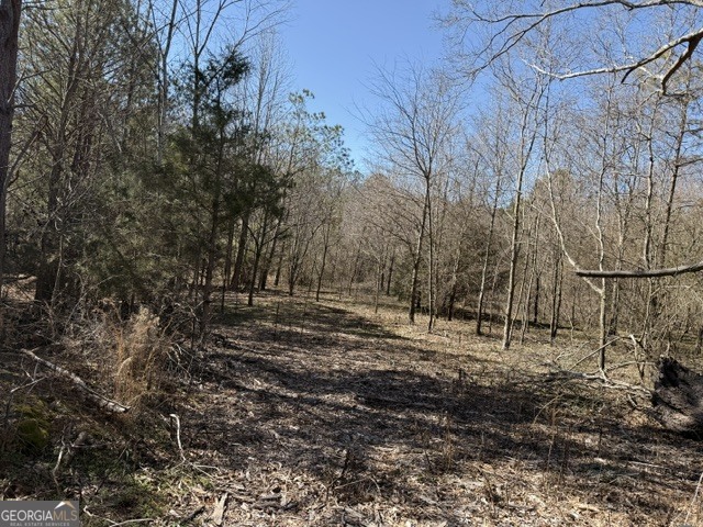 0 Tarpkins Road Commerce, GA 30530 - Photo 8 of 9