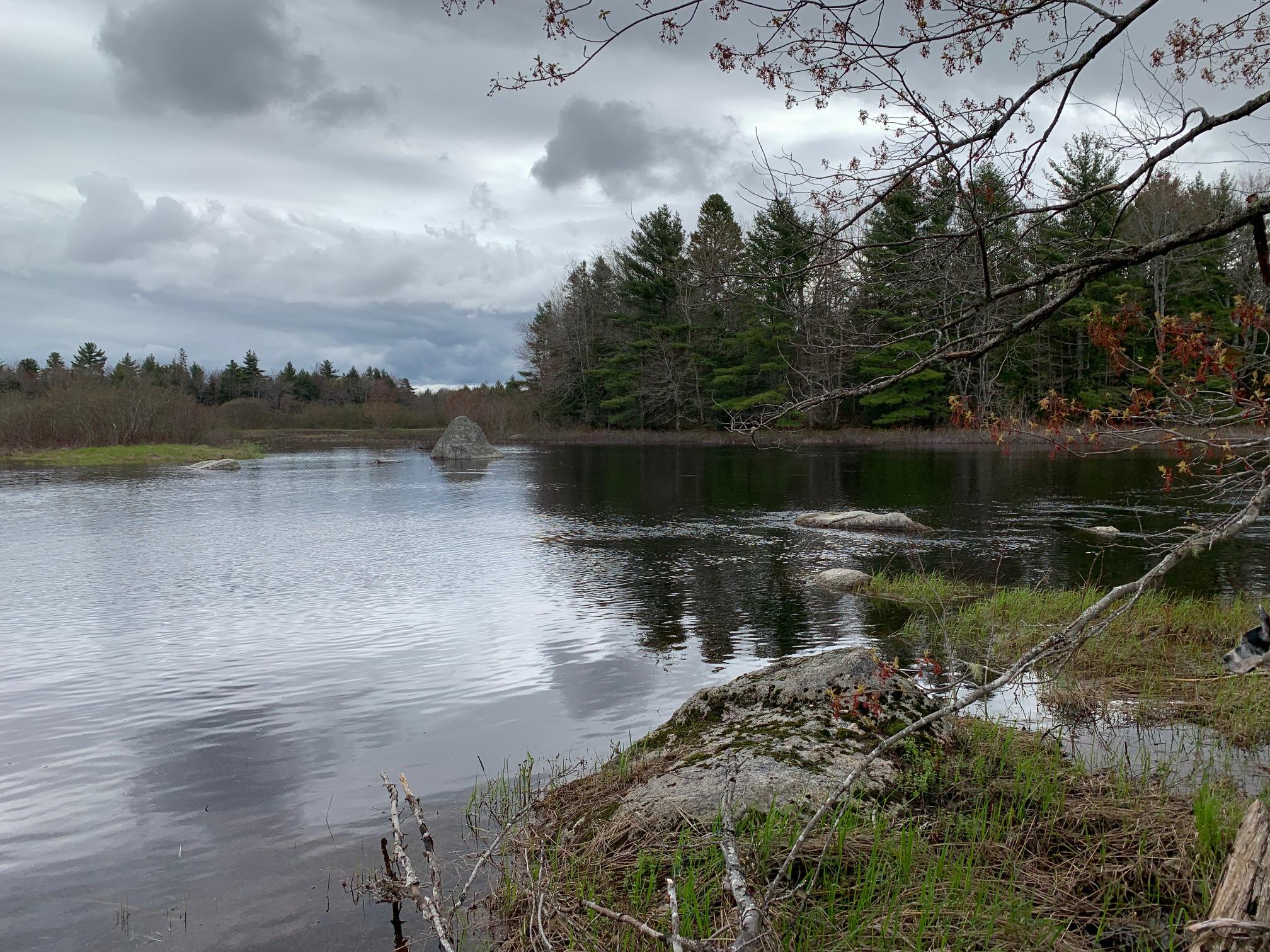 217 Tourtelotte Ridge Road Ellsworth, ME 04605 - Photo 12 of 14 217 Tour Pic 4